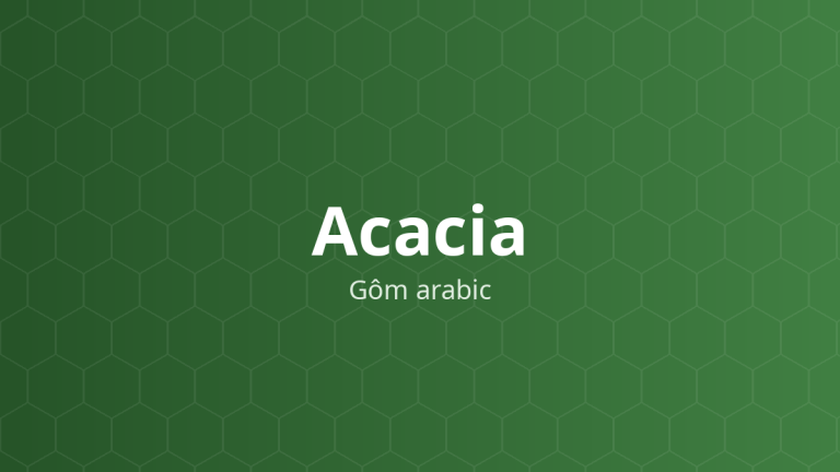 Acacia (Gôm arabic) – Chất nhũ hóa, tạo hỗn dịch, tá dược dính, tăng độ nhớt