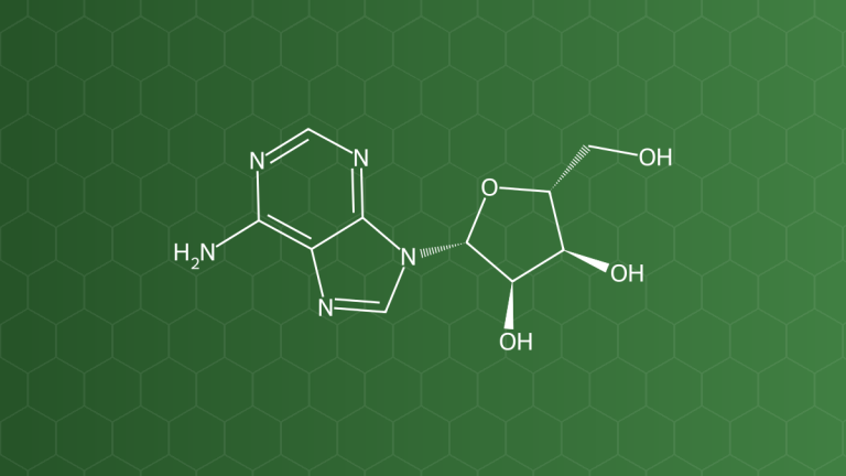 Adenosine – Nucleosid – công thức cấu tạo