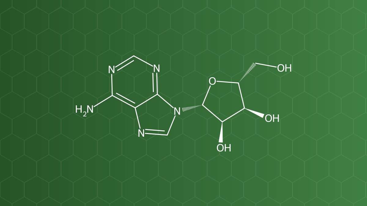 Adenosine – Nucleosid – công thức cấu tạo