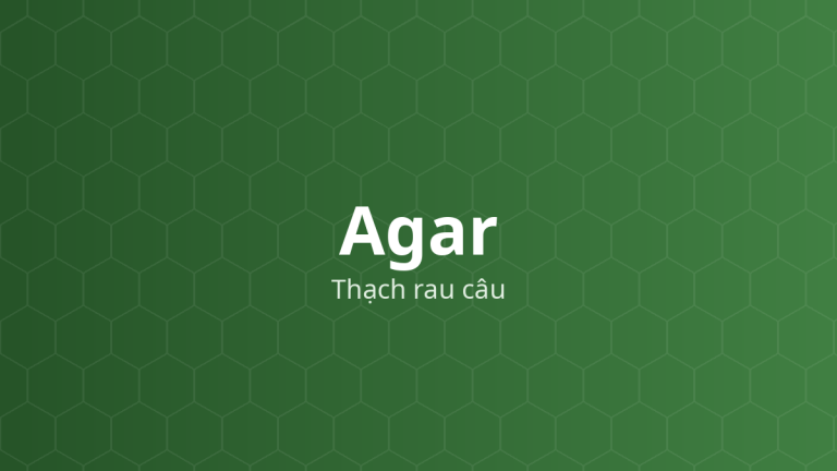 Agar (Thạch rau câu) – Tạo gel, ổn định, tạo hỗn dịch