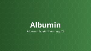 Albumin (Albumin huyết thanh người) – Chất ổn định