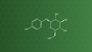 Arbutin (Alpha- và beta-arbutin) – Chất làm sáng da – công thức cấu tạo