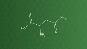Asparagine (L-Asparagin) – Chất đệm, tá dược đông khô – công thức cấu tạo