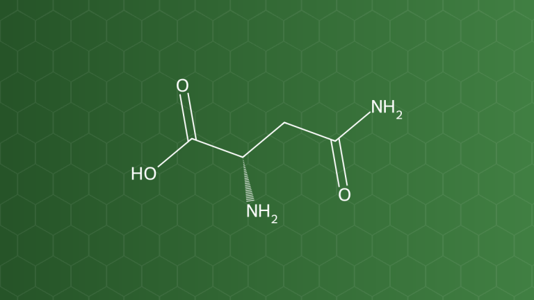 Asparagine (L-Asparagin) – Chất đệm, tá dược đông khô – công thức cấu tạo
