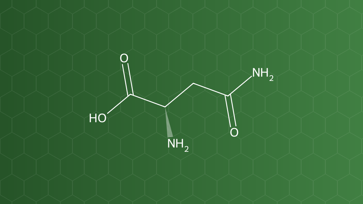 Asparagine (L-Asparagin) – Chất đệm, tá dược đông khô – công thức cấu tạo
