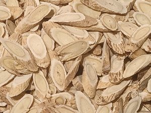 Cây hoàng kỳ – Astragalus membranaceus, nguồn nguyên liệu chiết xuất