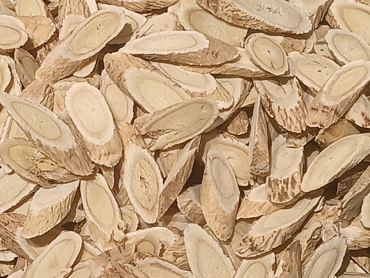 Cây hoàng kỳ – Astragalus membranaceus, nguồn nguyên liệu chiết xuất