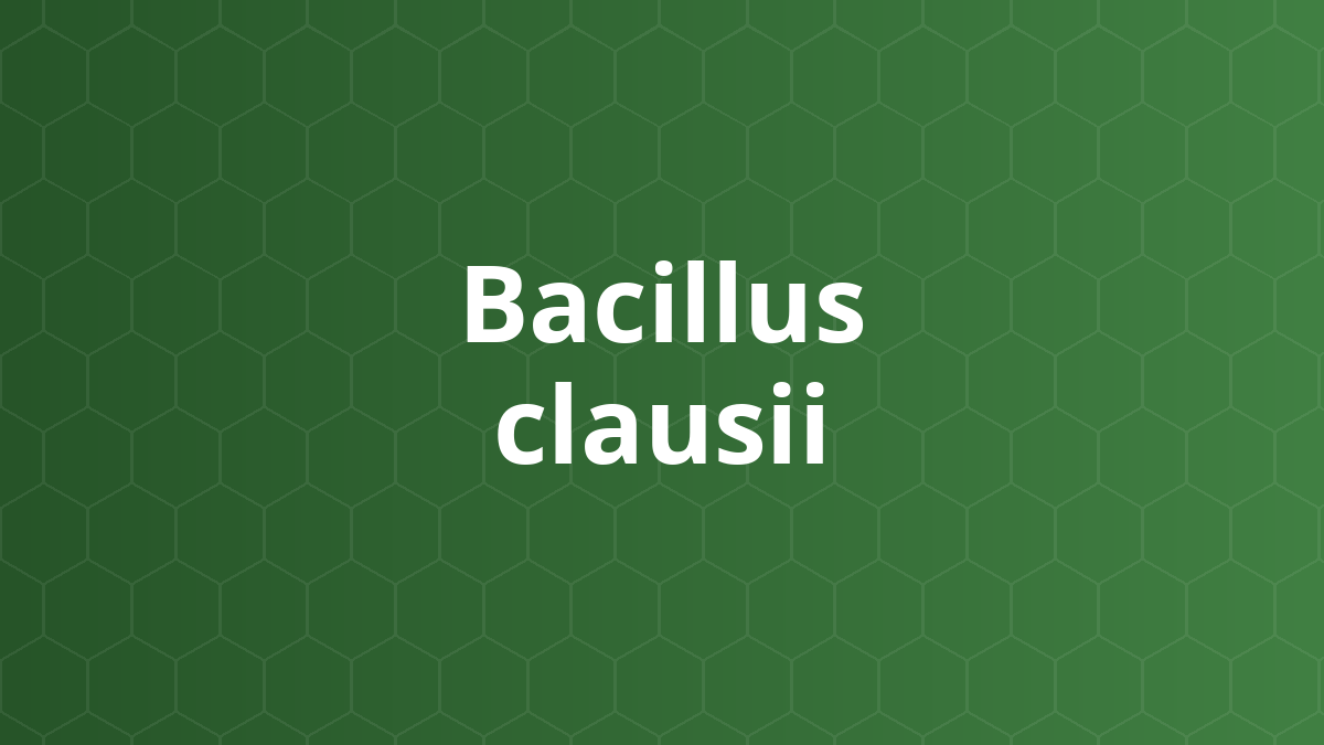 Bacillus clausii – Vi khuẩn tạo bào tử