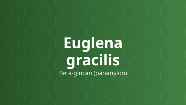 Euglena gracilis (Beta-glucan (paramylon)) – Polysaccharid dự trữ của tảo