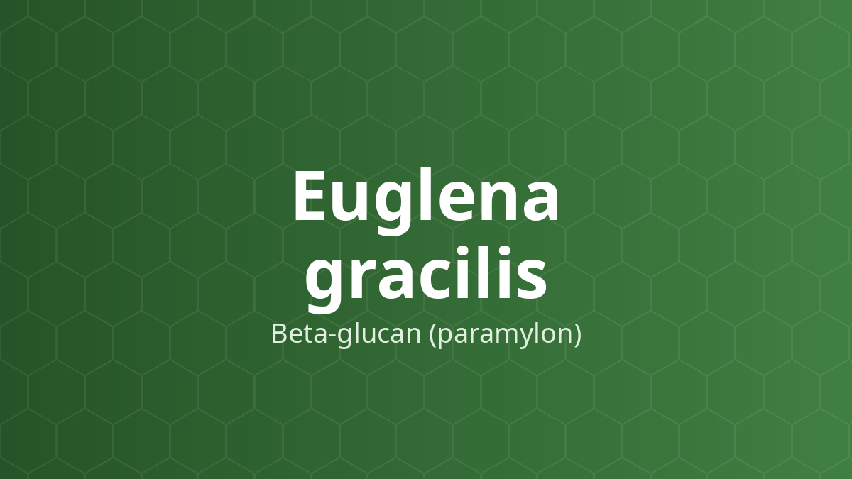Euglena gracilis (Beta-glucan (paramylon)) – Polysaccharid dự trữ của tảo