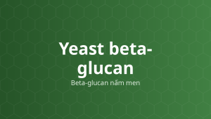 Yeast beta-glucan (Beta-glucan nấm men) – Polysaccharid thành tế bào nấm men
