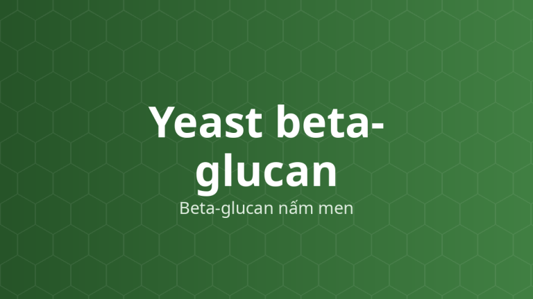 Yeast beta-glucan (Beta-glucan nấm men) – Polysaccharid thành tế bào nấm men