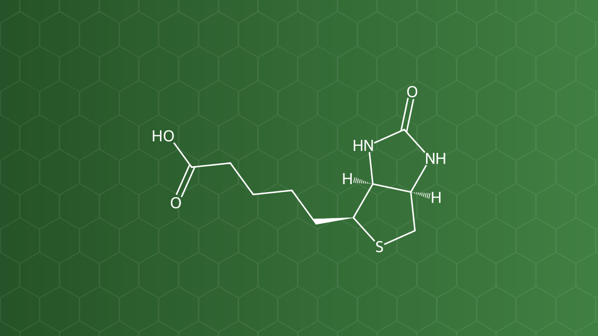 Biotin (Vitamin B7 – vitamin H) – Vitamin tan trong nước – công thức cấu tạo