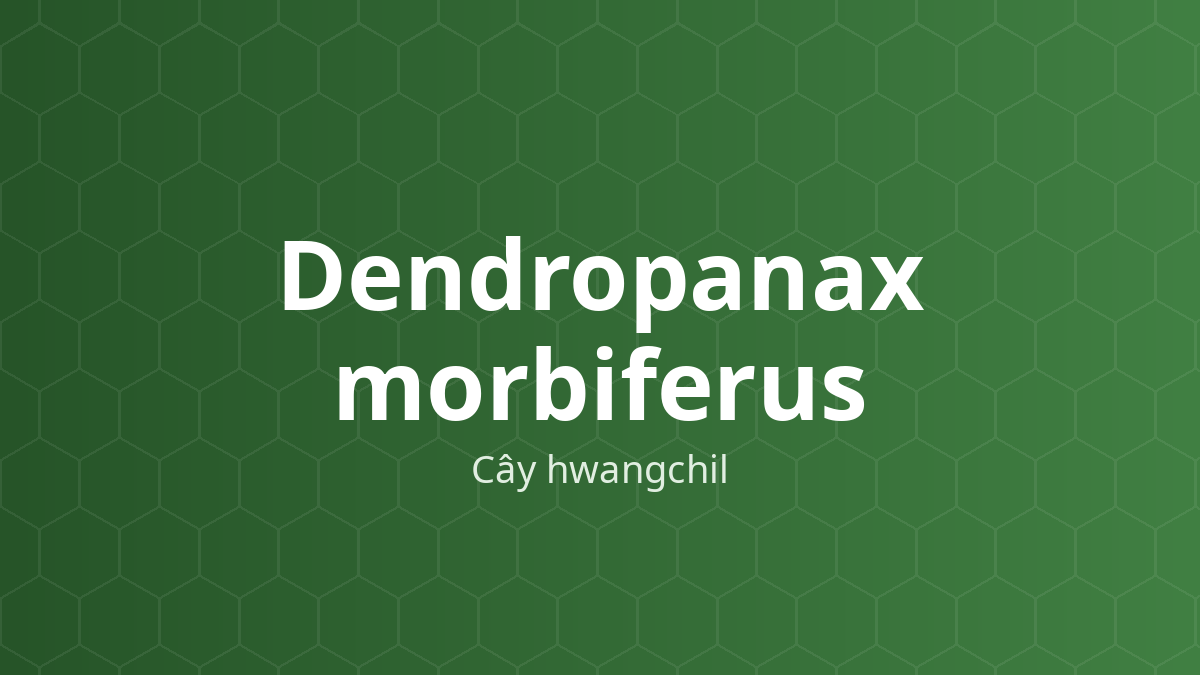Cây cây hwangchil (Dendropanax morbiferus)