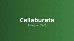 Cellaburate (Cellaburat (CAB)) – Tạo màng, điều chỉnh giải phóng