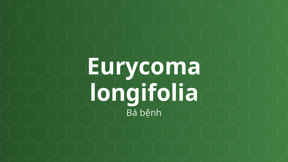 Eurycoma longifolia (Bá bệnh) – Chiết xuất thực vật