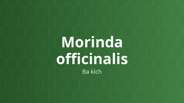 Morinda officinalis (Ba kích) – Chiết xuất thực vật
