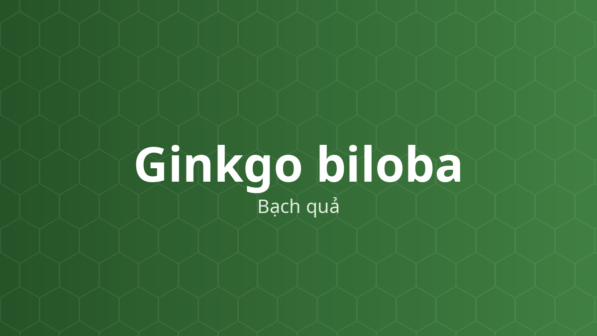 Ginkgo biloba (Bạch quả) – Chiết xuất thực vật