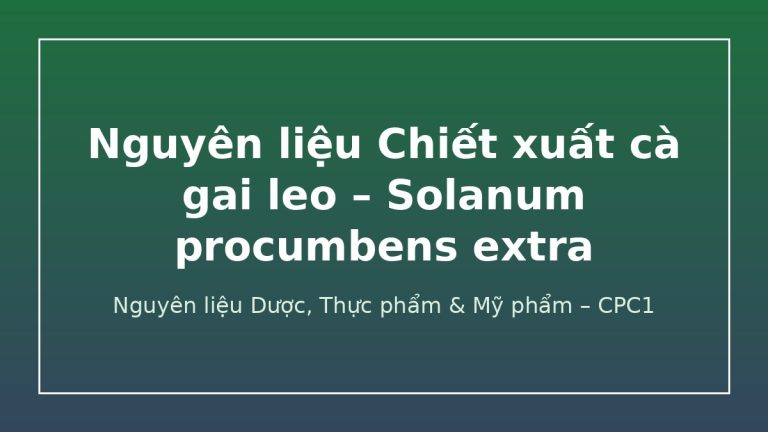 Nguyên liệu Chiết xuất cà gai leo – Solanum procumbens extra – CPC1