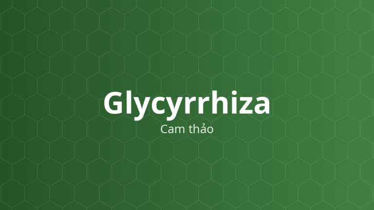 Glycyrrhiza (Cam thảo) – Chiết xuất thực vật
