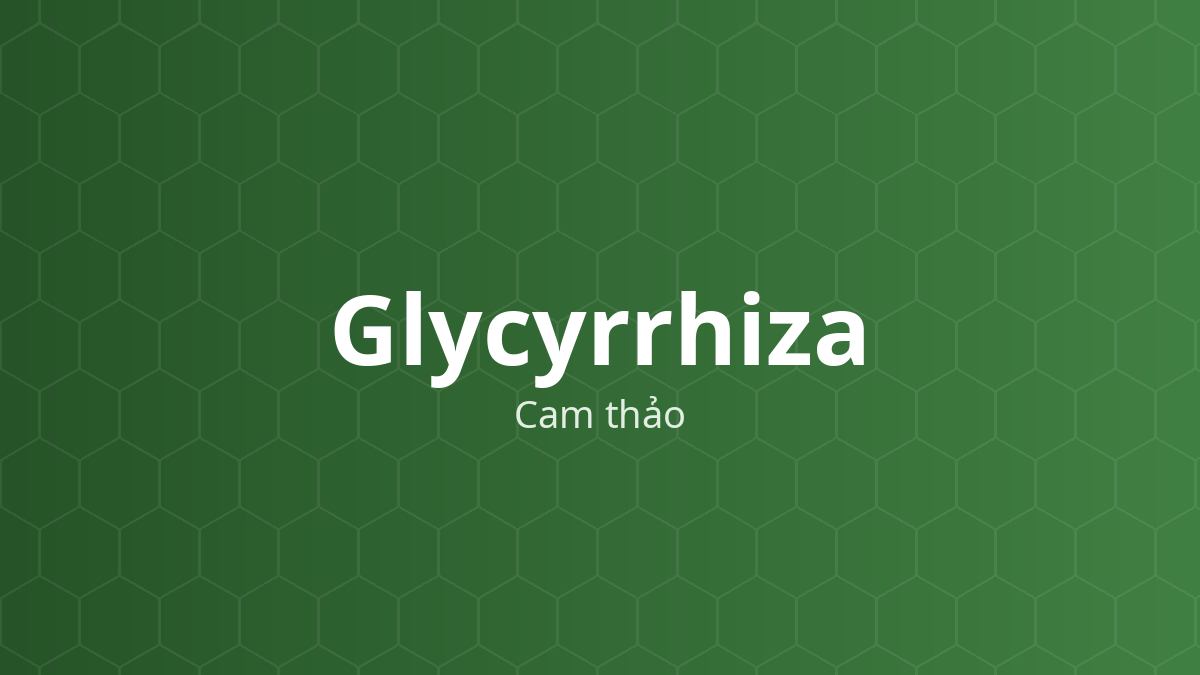Glycyrrhiza (Cam thảo) – Chiết xuất thực vật