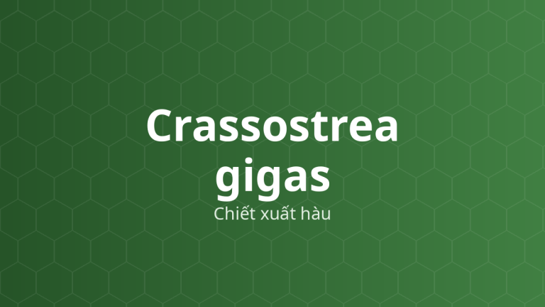 Crassostrea gigas (Chiết xuất hàu) – Chiết xuất thực vật