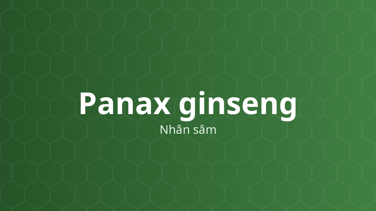 Panax ginseng (Nhân sâm) – Chiết xuất thực vật
