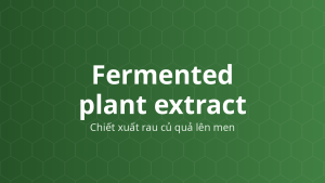 Fermented plant extract (Chiết xuất rau củ quả lên men) – Chiết xuất thực vật