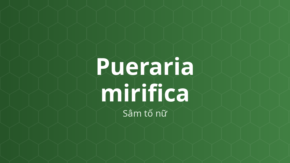 Pueraria mirifica (Sâm tố nữ) – Chiết xuất thực vật