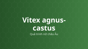 Vitex agnus-castus (Quả trinh nữ châu Âu) – Chiết xuất thực vật