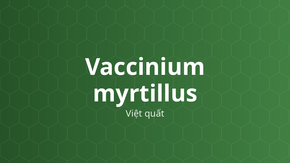 Vaccinium myrtillus (Việt quất) – Chiết xuất thực vật