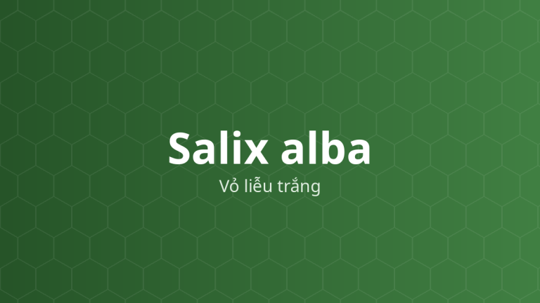 Salix alba (Vỏ liễu trắng) – Chiết xuất thực vật