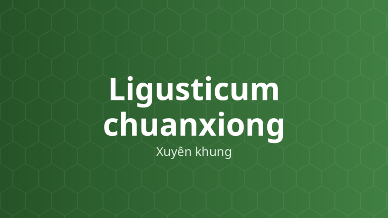 Ligusticum chuanxiong (Xuyên khung) – Chiết xuất thực vật