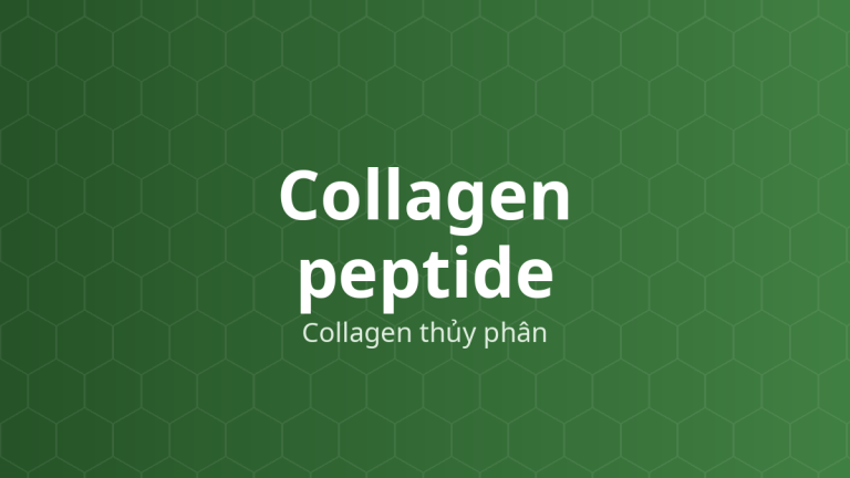 Collagen peptide (Collagen thủy phân) – Peptid từ protein collagen