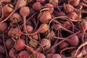 Cây củ dền (Beta vulgaris)