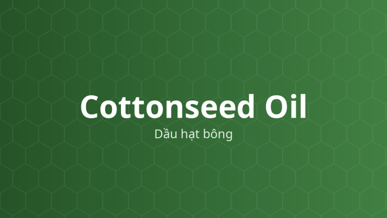 Cottonseed Oil (Dầu hạt bông) – Chất dẫn dạng dầu, dung môi