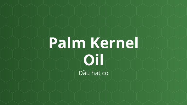 Palm Kernel Oil (Dầu hạt cọ) – Nền thuốc đạn, chất làm mềm