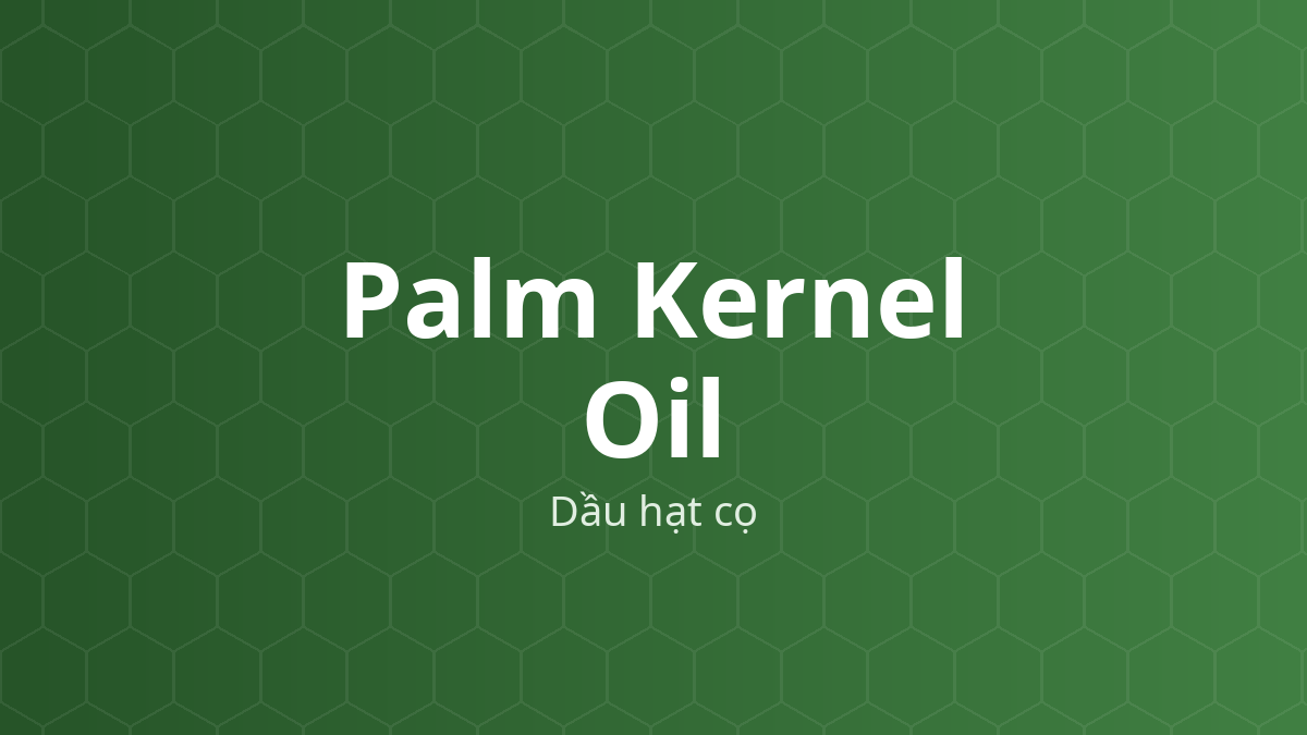 Palm Kernel Oil (Dầu hạt cọ) – Nền thuốc đạn, chất làm mềm