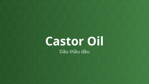 Castor Oil (Dầu thầu dầu) – Chất làm mềm, chất dẫn dạng dầu, dung môi