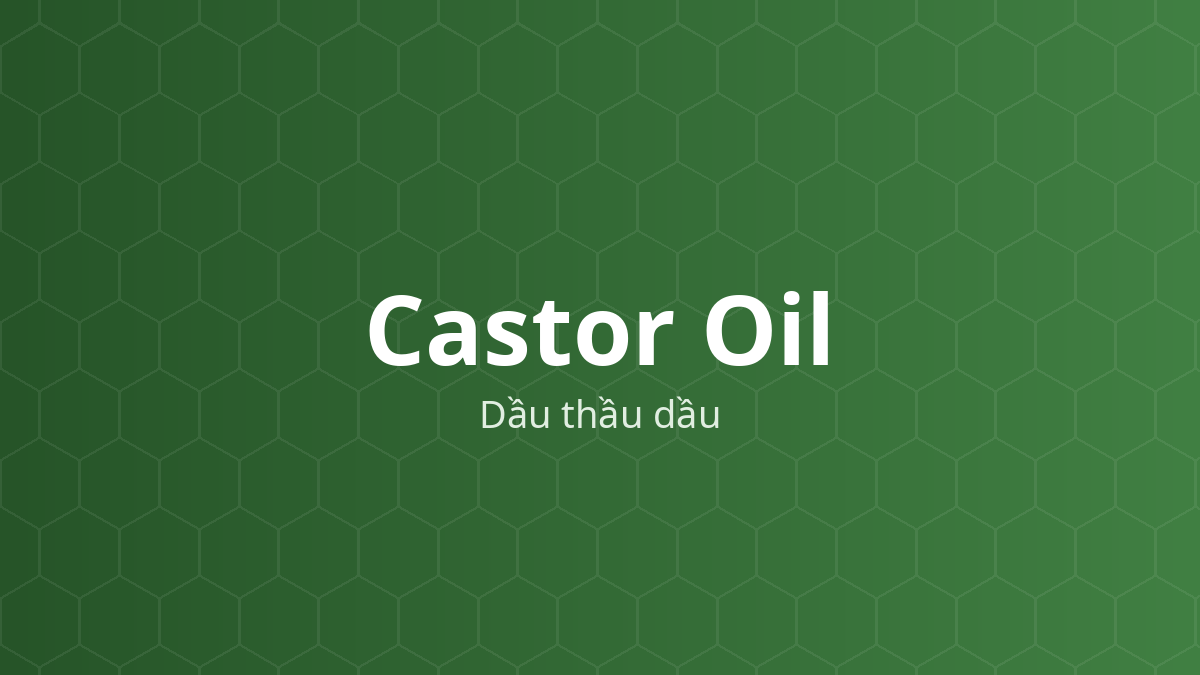 Castor Oil (Dầu thầu dầu) – Chất làm mềm, chất dẫn dạng dầu, dung môi