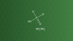 Ammonium Phosphate (Diamoni hydrophosphat) – Chất đệm – công thức cấu tạo