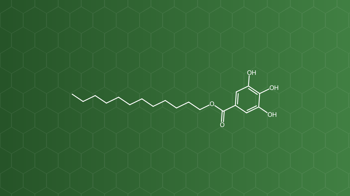 Dodecyl Gallate (Dodecyl gallat) – Chất chống oxy hóa – công thức cấu tạo