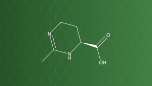 Ectoine – Chất dưỡng ẩm, bảo vệ da – công thức cấu tạo
