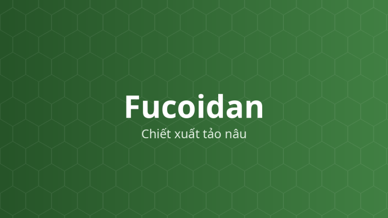 Fucoidan (Chiết xuất tảo nâu) – Polysaccharid sulfat hóa