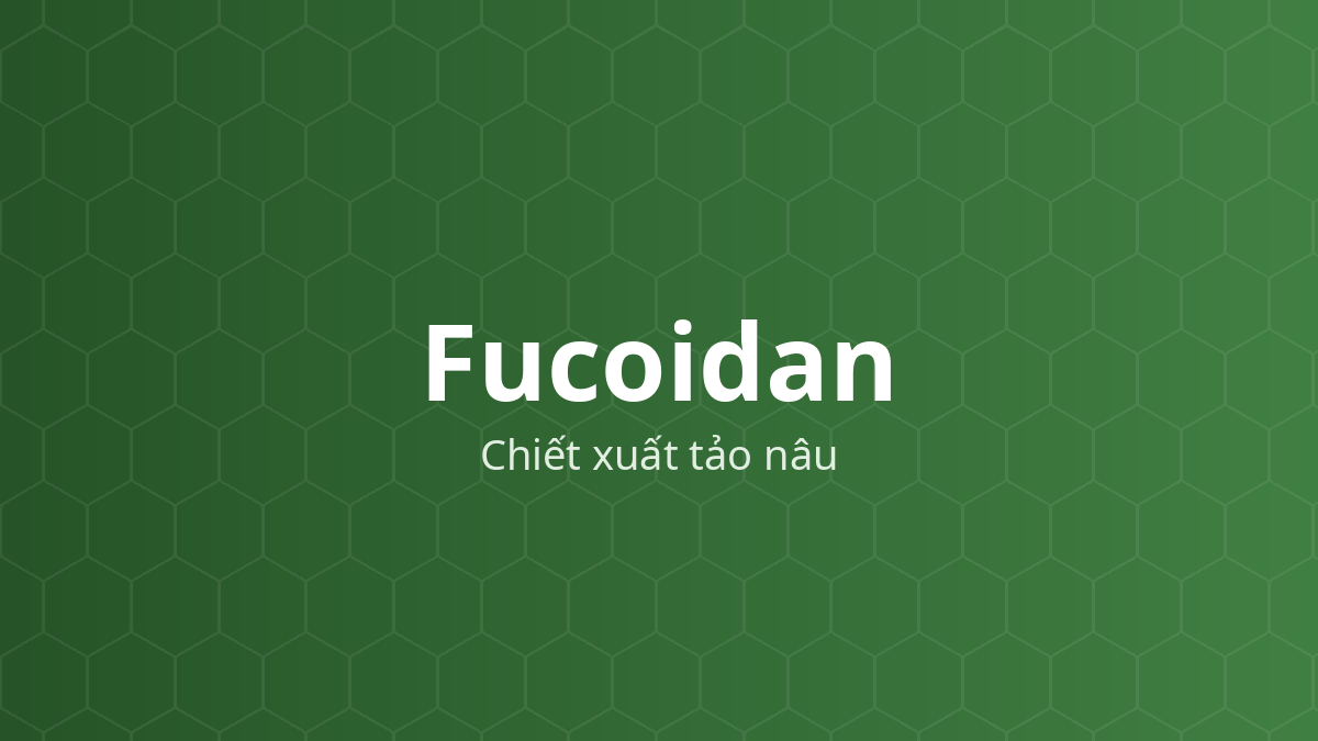 Fucoidan (Chiết xuất tảo nâu) – Polysaccharid sulfat hóa