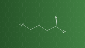 GABA (Acid gamma-aminobutyric) – Acid amin không cấu tạo protein – công thức cấu tạo