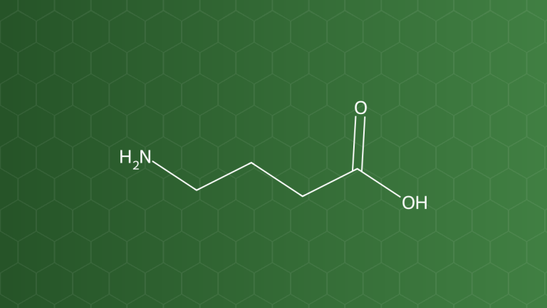 GABA (Acid gamma-aminobutyric) – Acid amin không cấu tạo protein – công thức cấu tạo