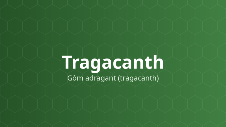 Tragacanth (Gôm adragant (tragacanth)) – Gây treo, tăng độ nhớt, nhũ hóa