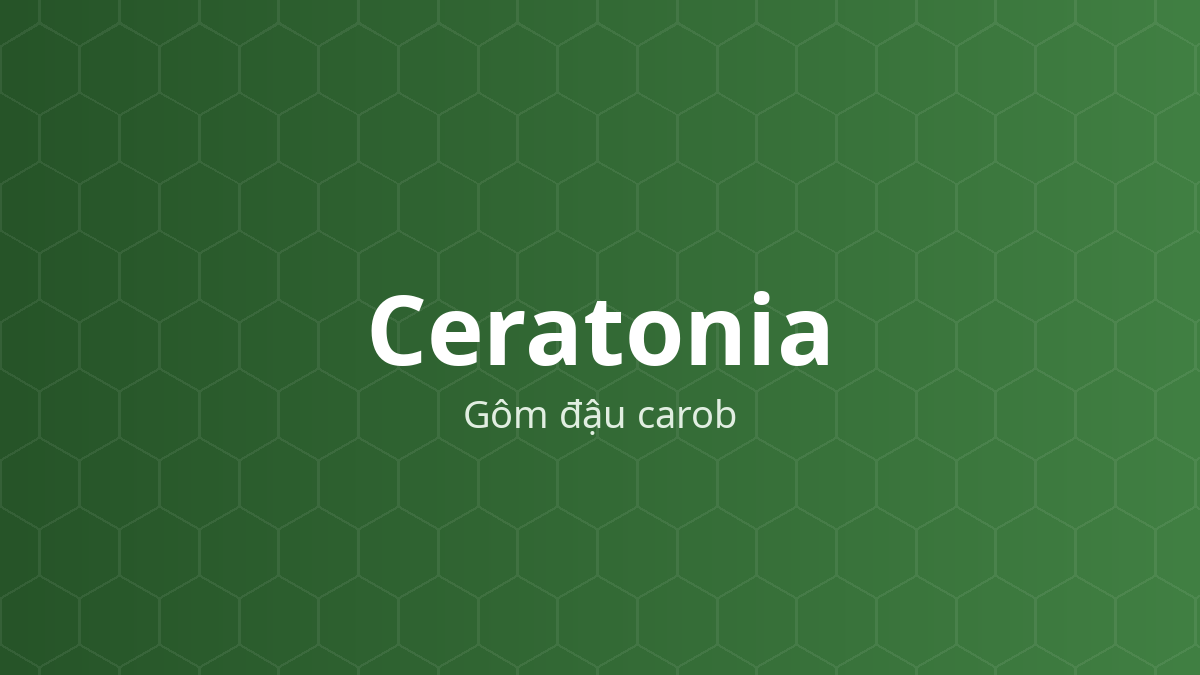 Ceratonia (Gôm đậu carob) – Tăng độ nhớt, tạo hỗn dịch, tá dược dính, giải phóng kiểm soát