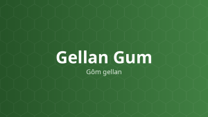 Gellan Gum (Gôm gellan) – Tạo gel, bám dính niêm mạc